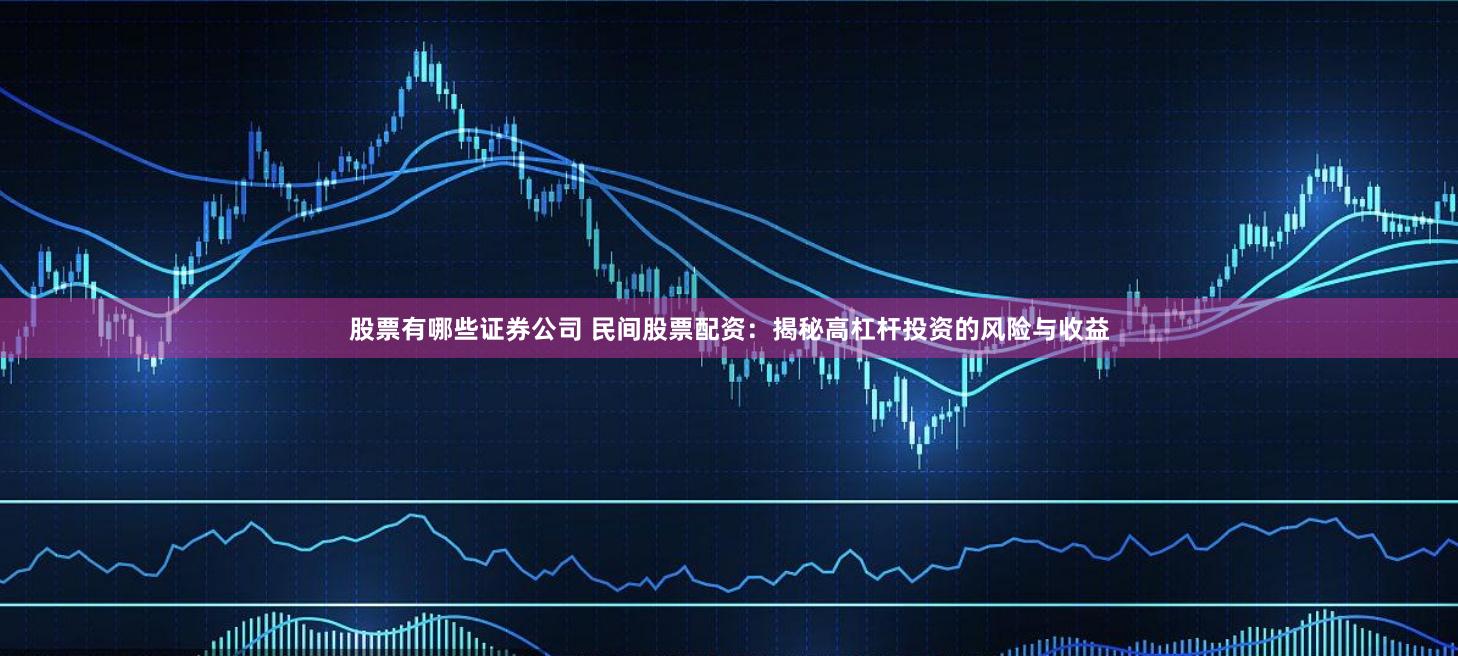 股票有哪些证券公司 民间股票配资：揭秘高杠杆投资的风险与收益