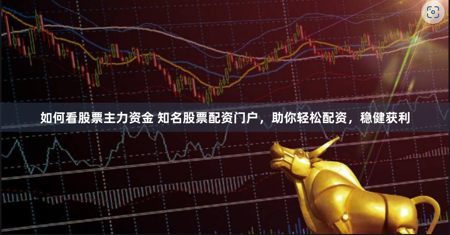 如何看股票主力资金 知名股票配资门户，助你轻松配资，稳健获利