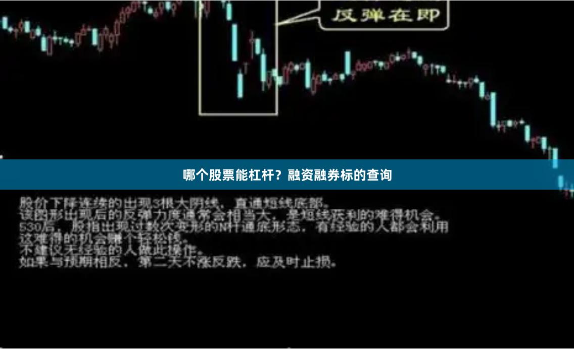 哪个股票能杠杆？融资融券标的查询