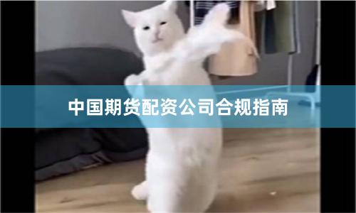 中国期货配资公司合规指南