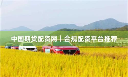 中国期货配资网｜合规配资平台推荐